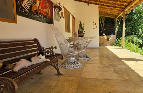 Entrada-hab-6-20260621-100141.webp
